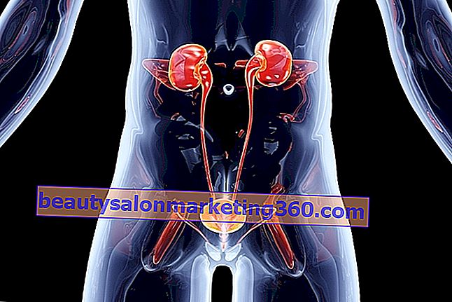 Urinvägar: huvudsjukdomar, symtom och behandling