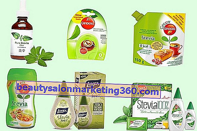 5 almindelige spørgsmål om stevia-sødemiddel