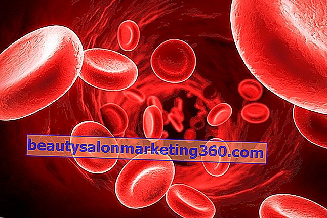Crvene krvne stanice koje nose hemoglobin