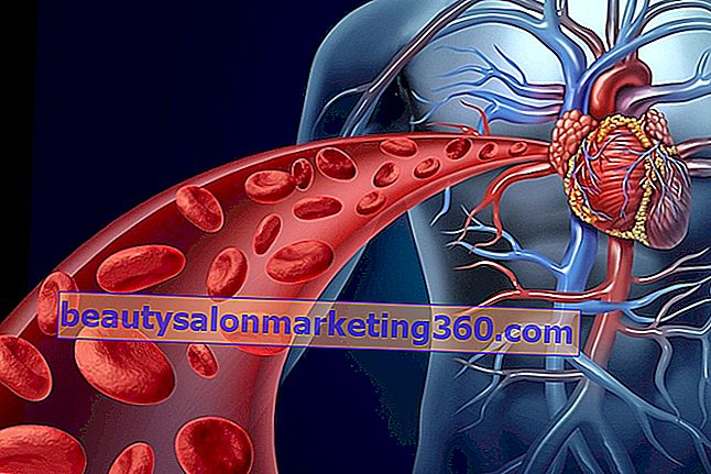Kardiovaskulært system: Anatomi, fysiologi og sykdommer
