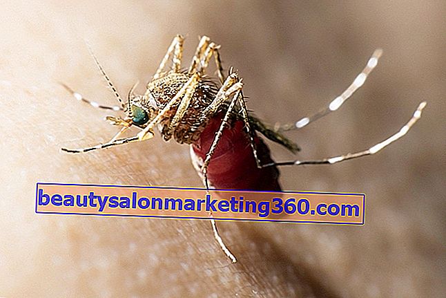 Malária komár