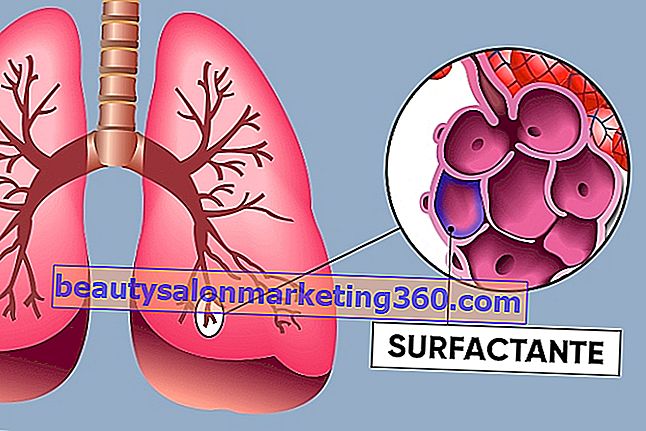 Ce este surfactantul pulmonar și cum funcționează