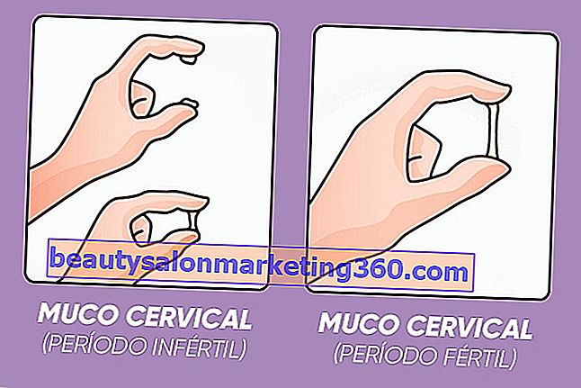 Caratteristiche del muco cervicale