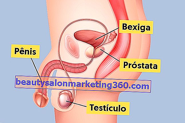Tutto quello che devi sapere sulla prostata